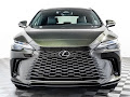 2024 Lexus RX
