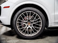2023 Porsche Cayenne Platinum Edition Coupe