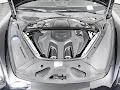2023 Porsche Panamera Platinum Edition